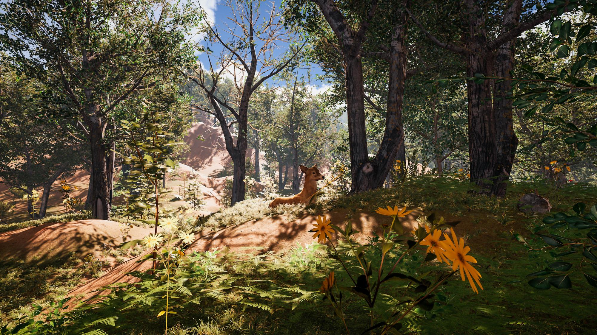 Faune, flore et préservation : le cœur battant du cap