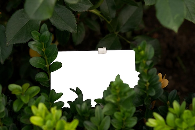 FAQ : tes questions sur le Domaine du Rayol, Le Jardin des Méditerranées