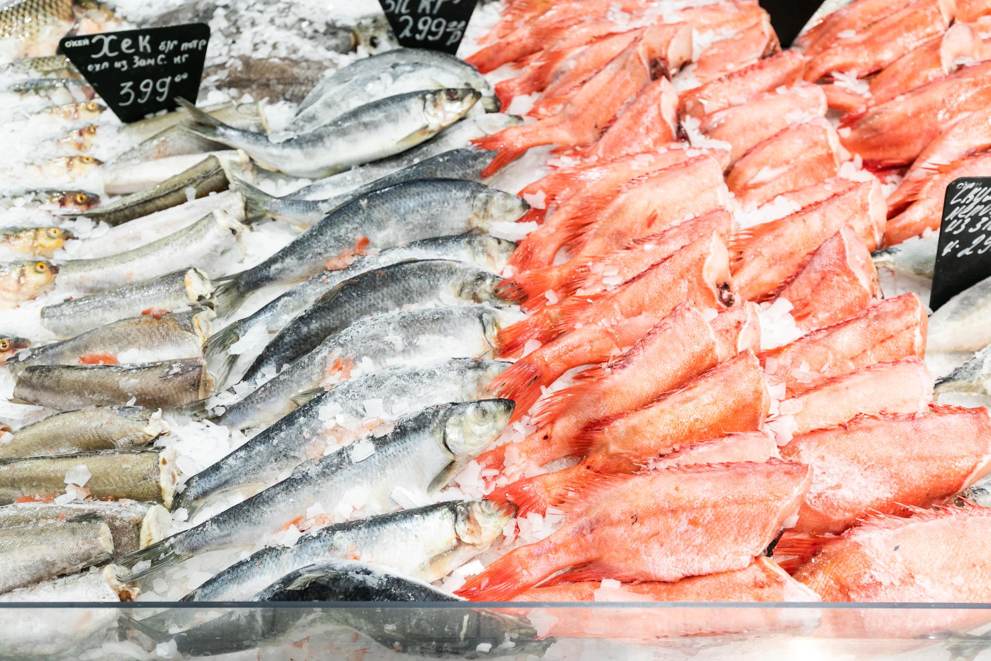 Marché aux poissons : la fraîcheur qui vient de la nuit