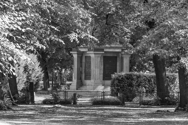 Les racines d'un paradis : l'histoire qui fait battre le cœur du Domaine du Rayol