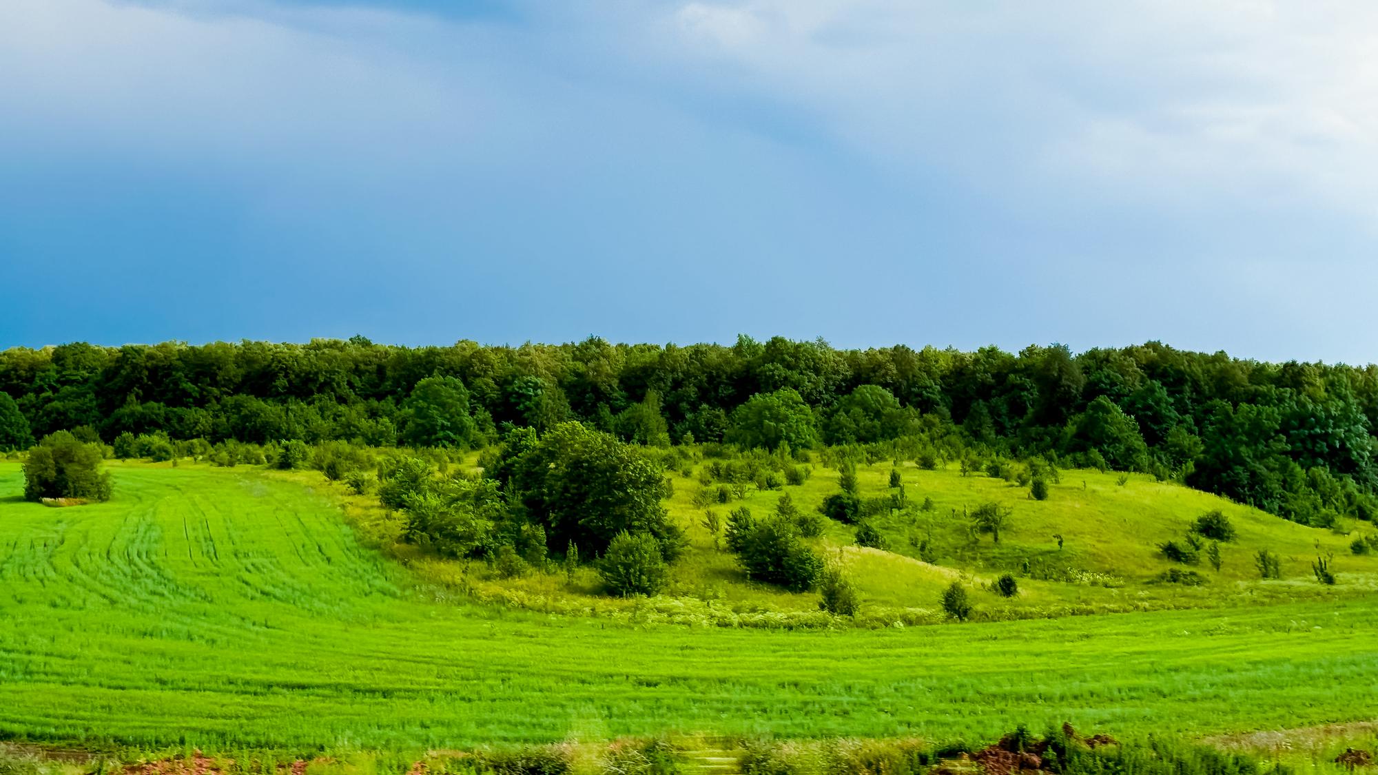 Pourquoi la Corniche des Maures te happe dès le premier pas ?