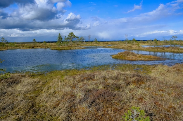Autour d'Alcúdia : nature et escapades sauvages