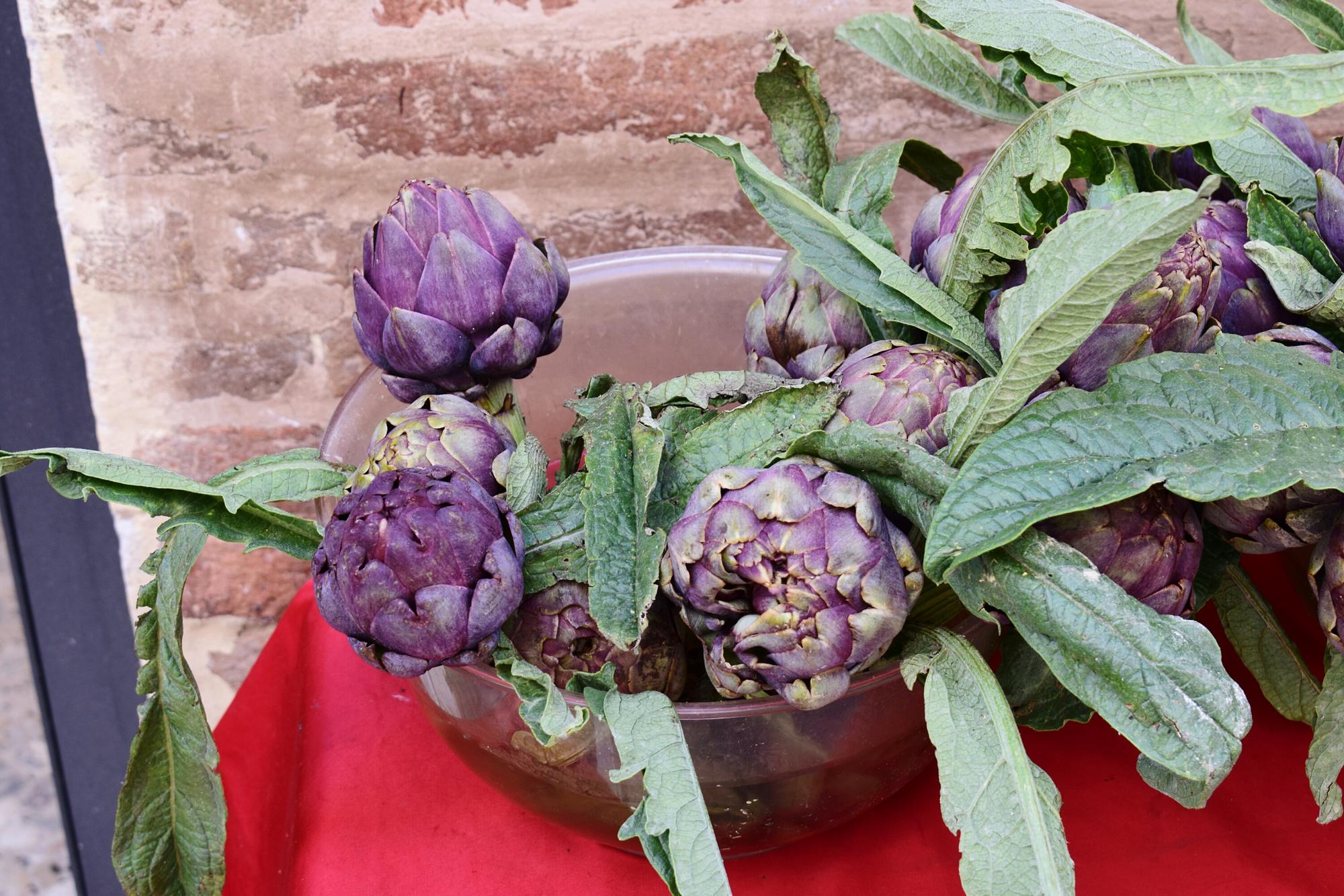 Artichauts violets : la caresse printanière de Provence