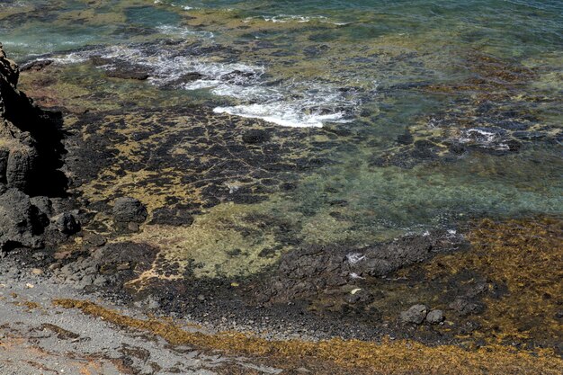 Les origines oubliées de l’Anse de Malmousque : entre légende sanglante et parfums de varech
