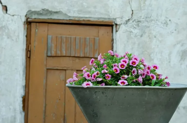 ruelles blanches Frigiliana fleurs pots colorés