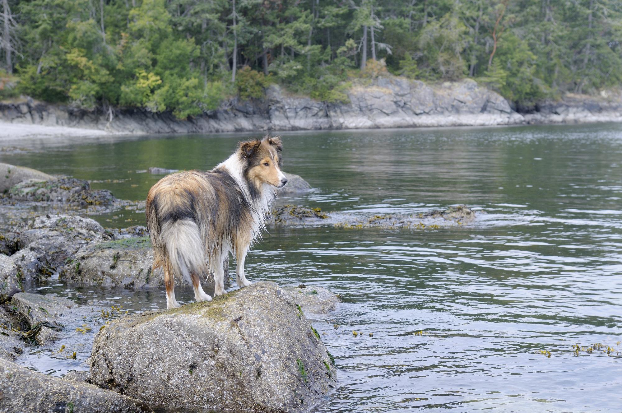 Pourquoi les berges du Loup méritent vraiment le détour