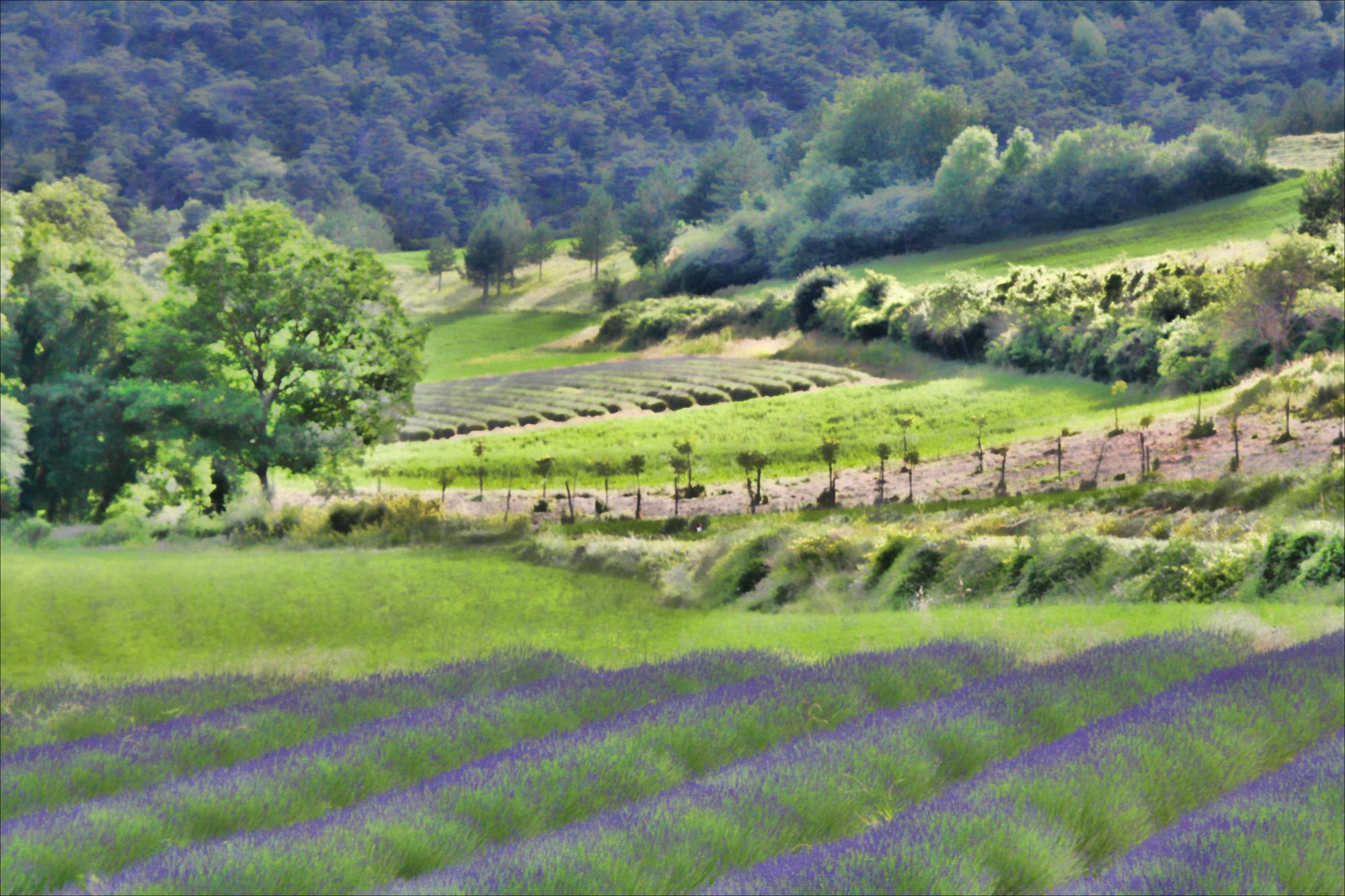 FAQ : tes questions sur la région PACA