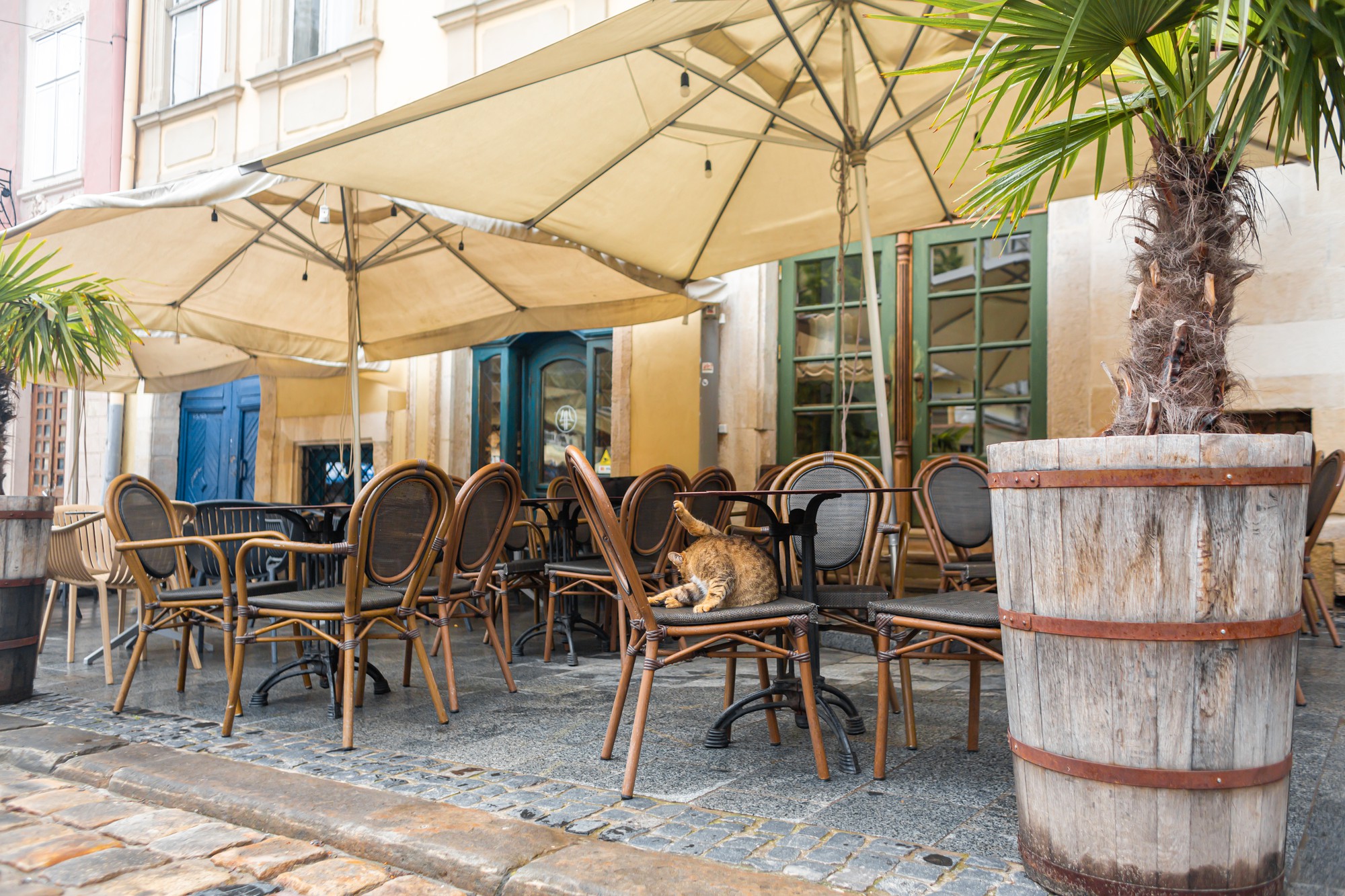 Comment choisir son restaurant à Sainte‑Anne sans se faire avoir