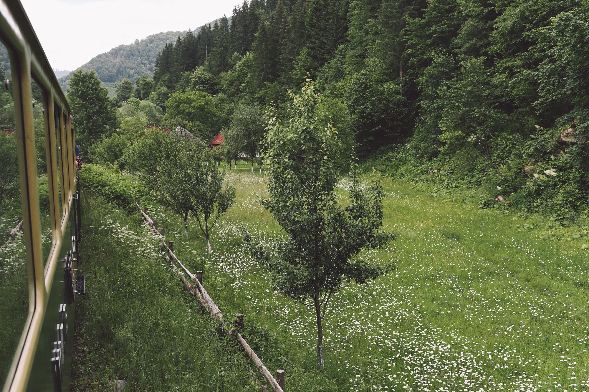 TER Provence-Alpes-Côte d’Azur (ZOU), c’est quoi exactement ?