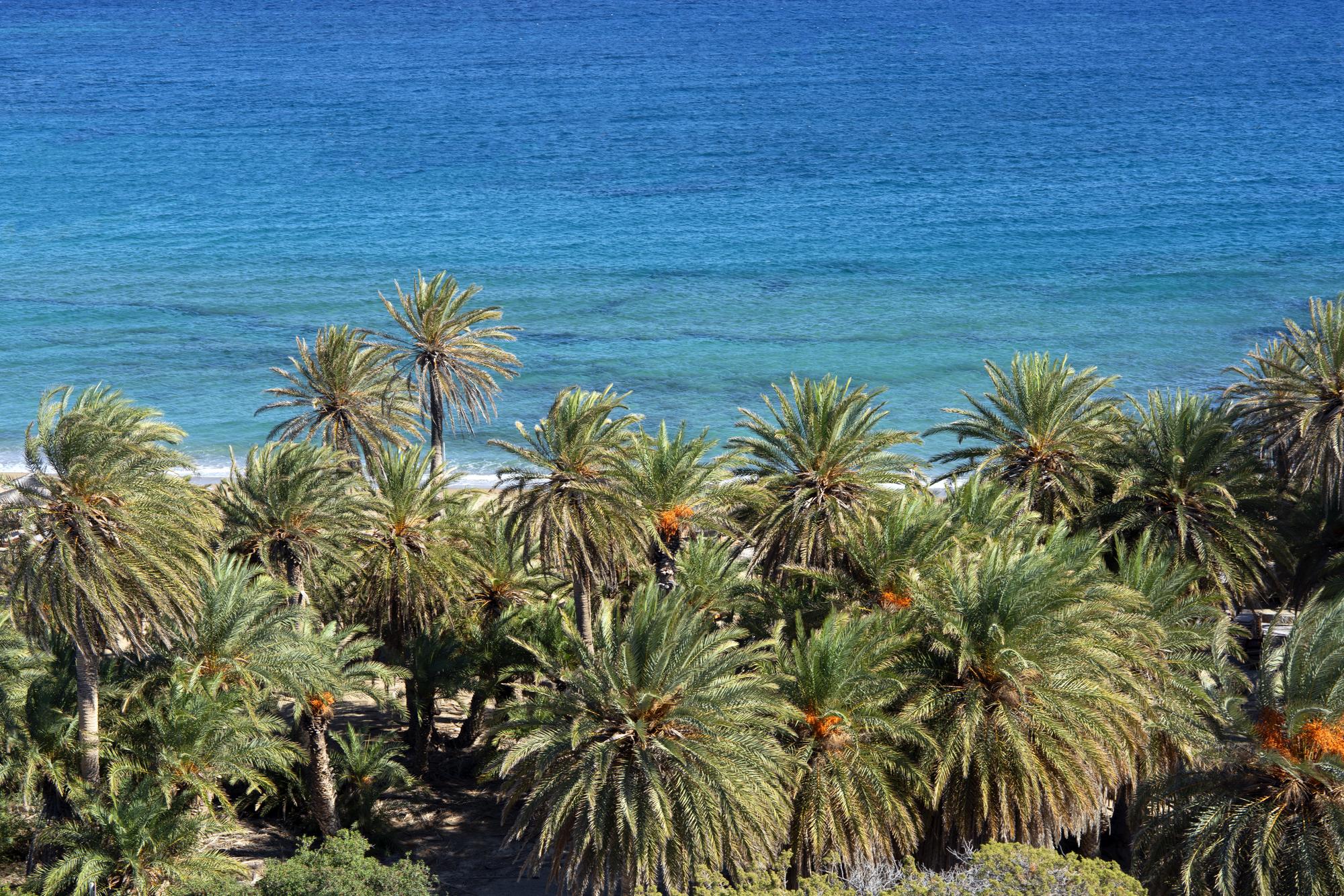 Comprendre la plage de Vai avant d’y aller