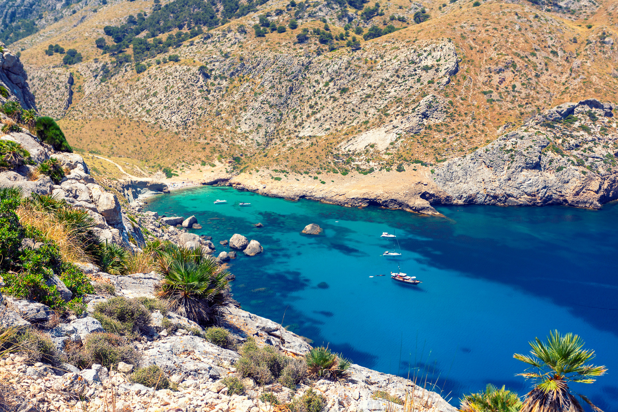 Où se trouve la plage de Formentor et à quoi t’attendre sur place ?